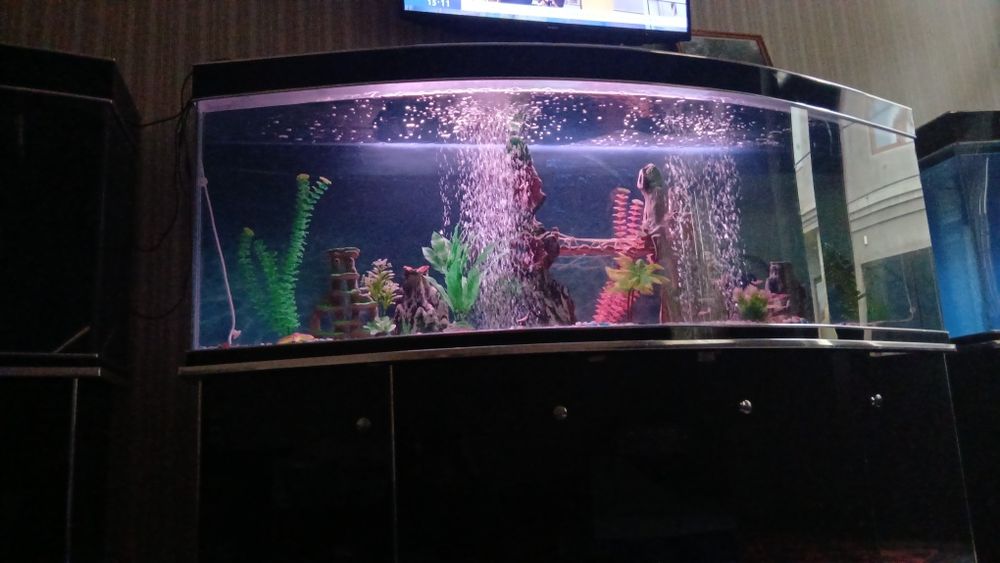 Аквариум сотилади