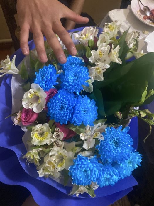 Цветы бугінгі гул