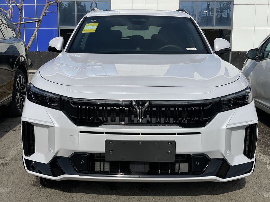 Voyah free apollo tech 318