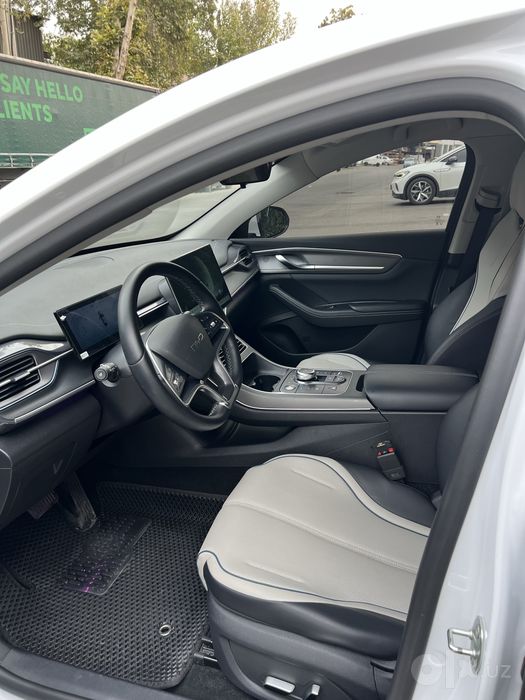 Byd chazor full flagship