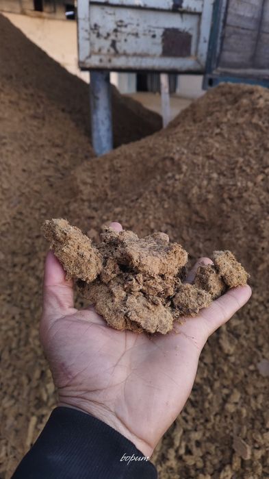 Qalin palaxta shurotga oʻxshaydi