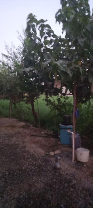 UY SOTILADI.yashash ucun.barca waroitga ega