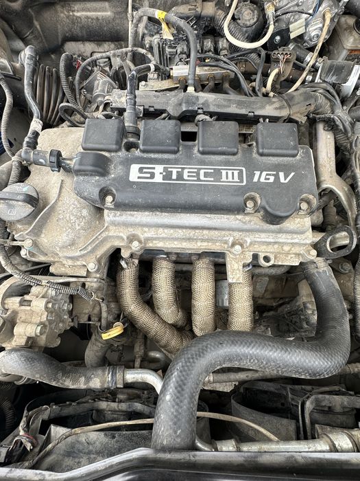 Jentraga pauk yangi xali 4.2.1