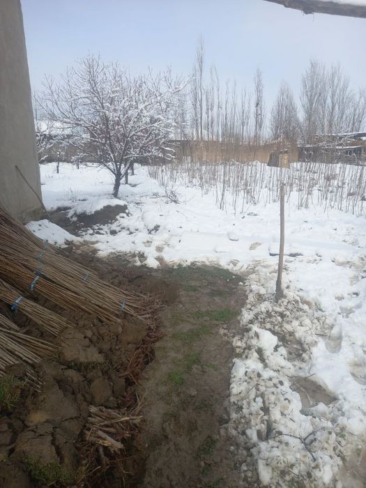 Тераклар Калифорния