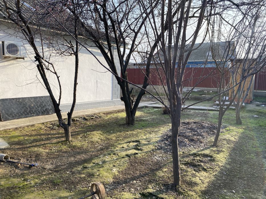 Жеке үй қаланың ортасында