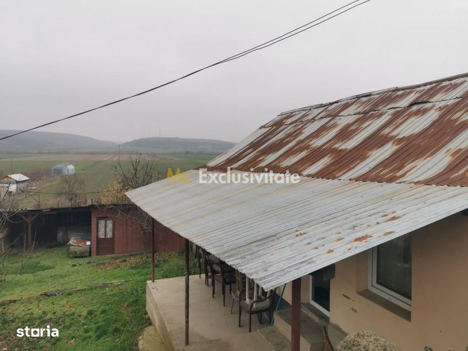 De vanzare casa in Argetoaia cu teren 7.000 mp