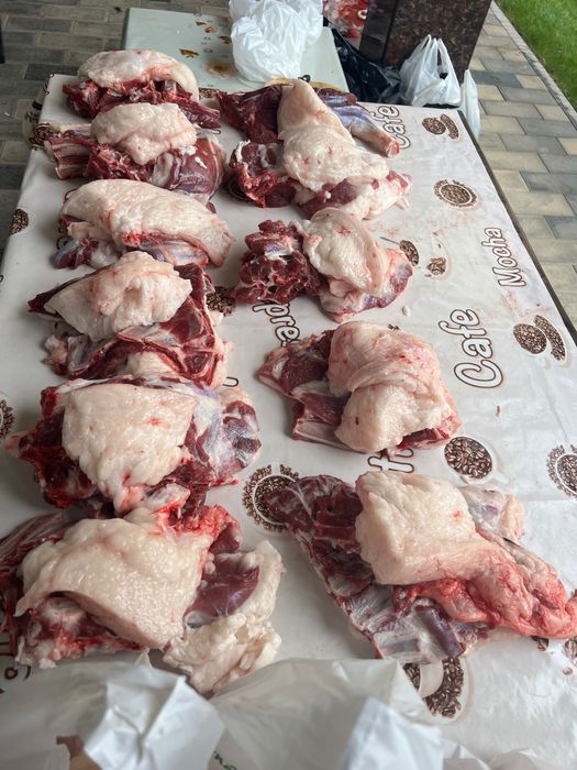 Бўрдоқи қўйлар, қассоб хизмати