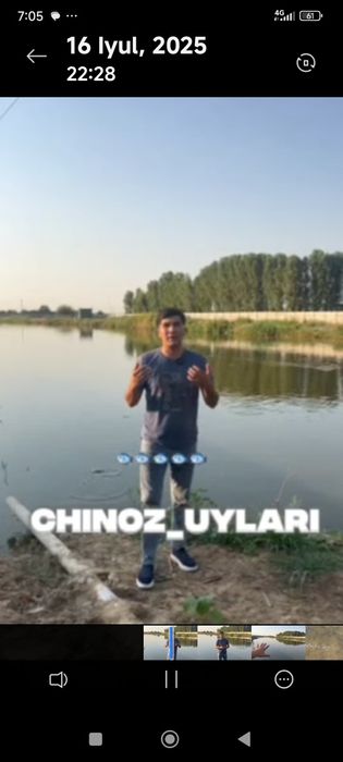 Afrika laqqasi sotiladi 10 sm dan 20 sm gacha kisloroddan chiqqan