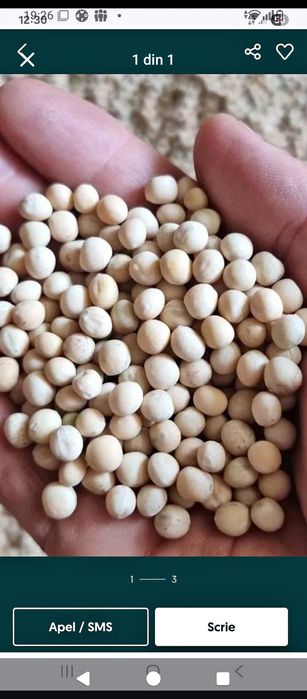 Mazărea selectată C1 oferim transport gratuit oriunde la cererea