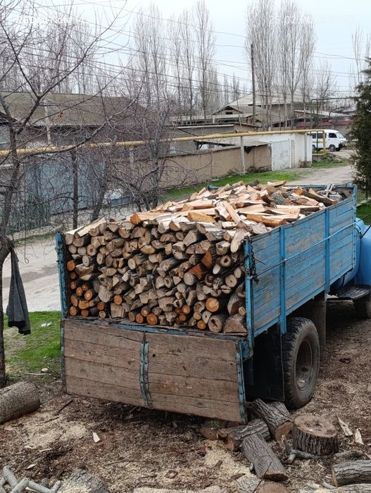 O’tin дрова сухой утин.