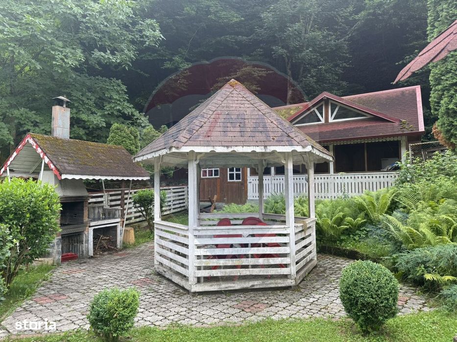 Cabana autentica de munte Frasinet - Baisoara 600 mp teren