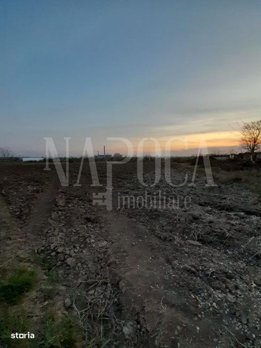 Teren intravilan agricol de vanzare in Episcopia Bihor Oradea, Oradea