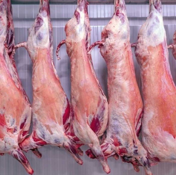 Ieduți și brânză de capra de vânzare pentru Paști – direct din fermă