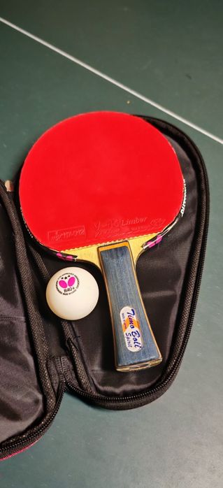 Paletă Butterfly Timo Boll Spirit