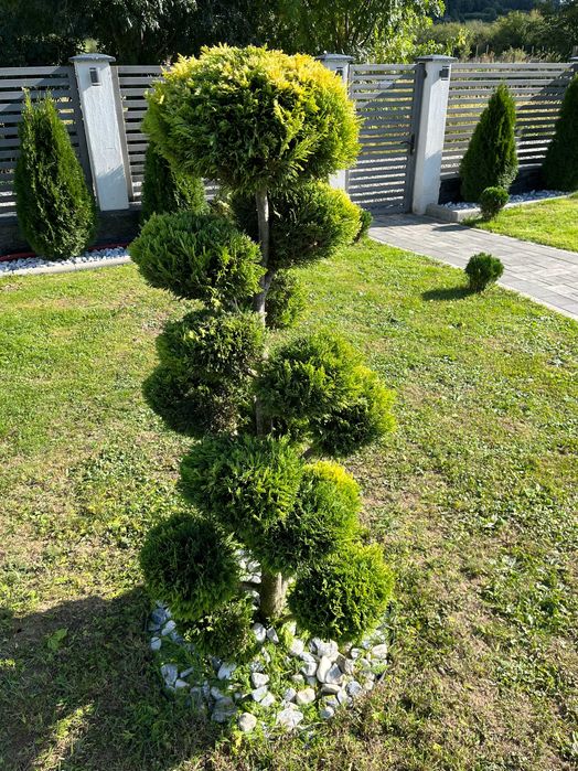 Gradinarit, toaletare copaci, tocat crengi, mentenanta spatii verzi