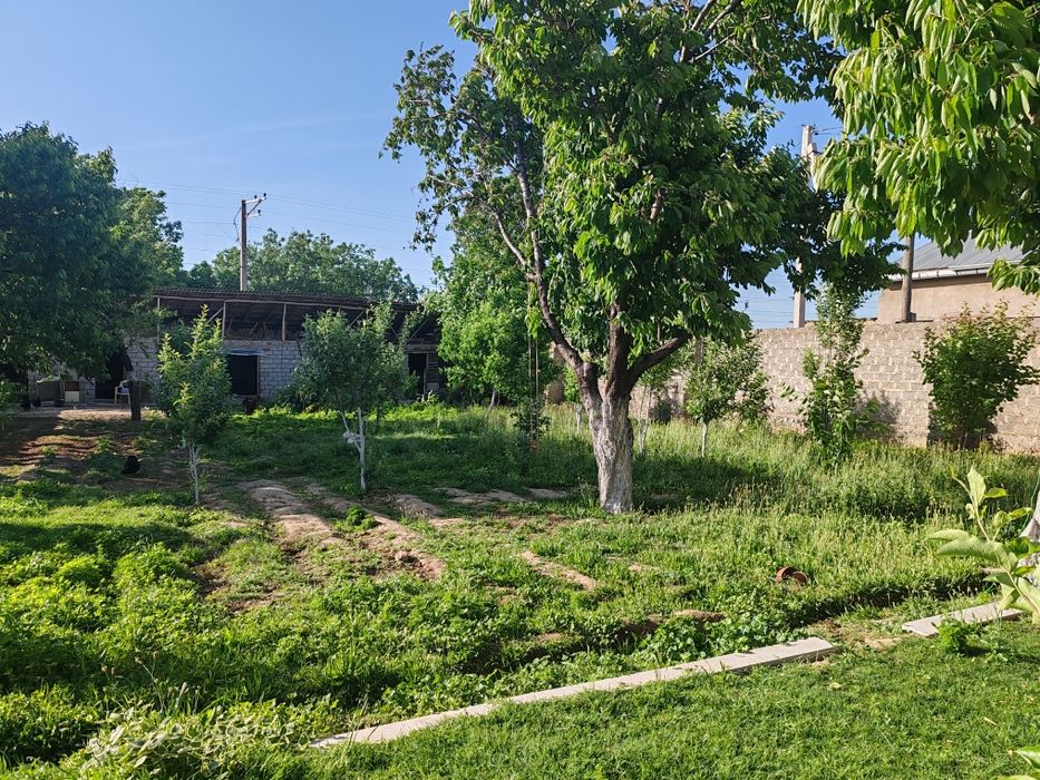 Срочно ер участка сотилади