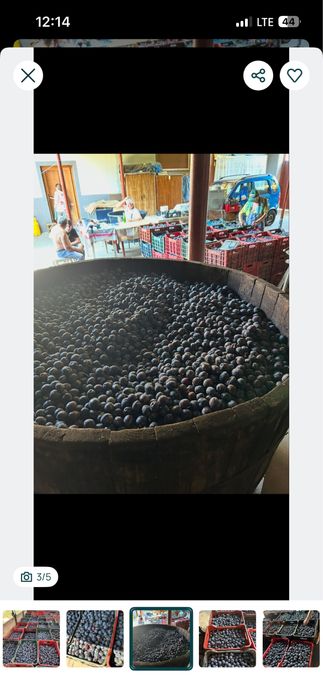 Vand. Pruna. Straili. De. Tuica. De. Palinca. Etc