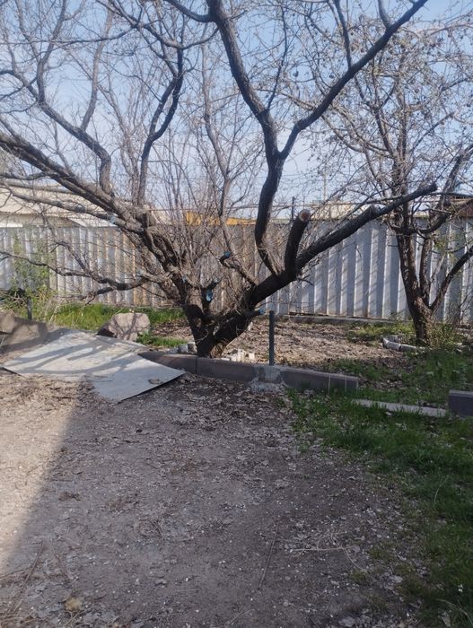 Дрова бесплатно самовывоз