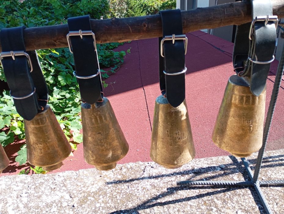 Чанове Звънци два модела