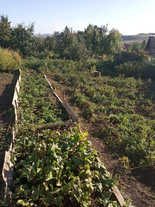 Продам дачу остановка 18 школа