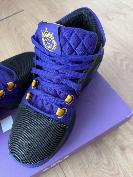 Adidasi Nike Lebron James