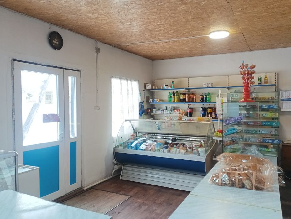 Продажа дом+магазин Талгар