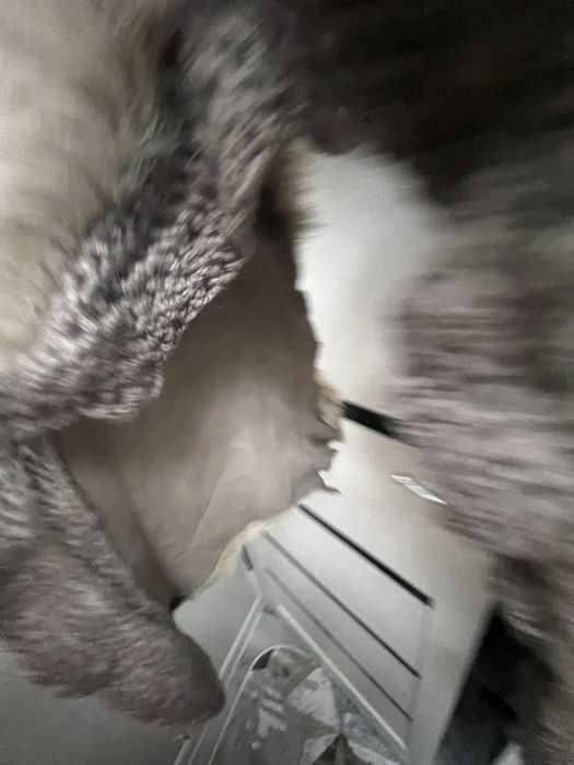 Платье двойка на 50 размер ..