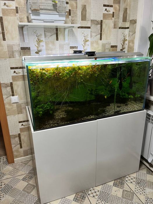 Аквариум с рыбками