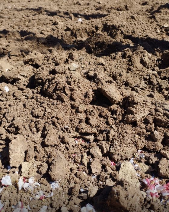 Культиватор Hyundai HY-T850