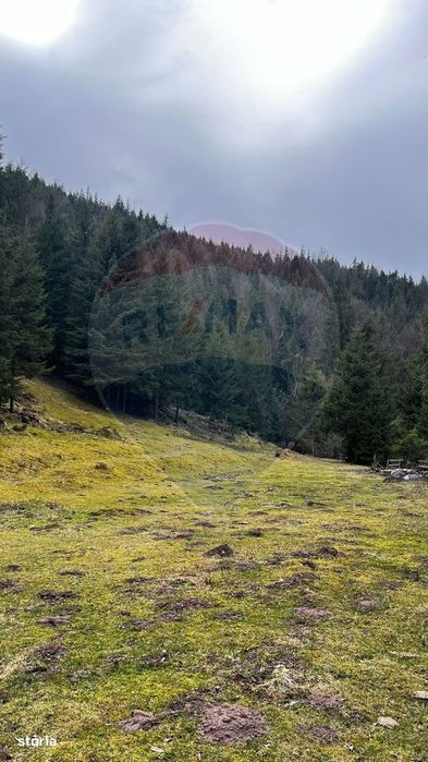 Arieșeni–Strada Fața Cristesei -Teren 4.331 mp cu Peisaj de Poveste