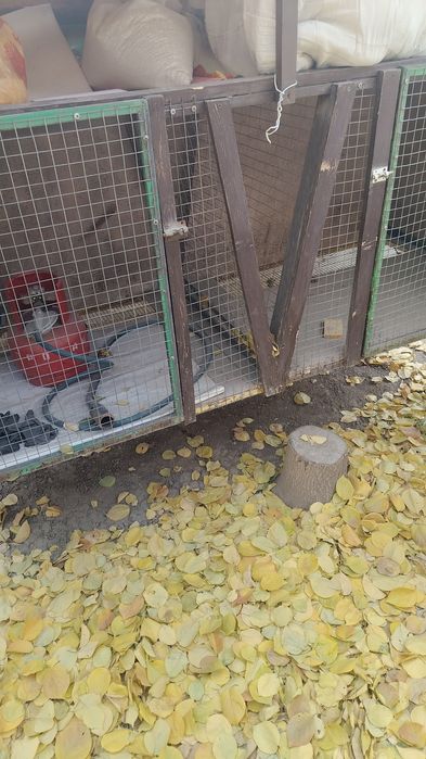 Клетки для кроликов