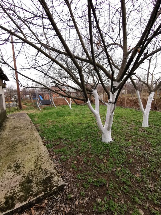 Етаж от къща , с двор и гараж в село Първомайци