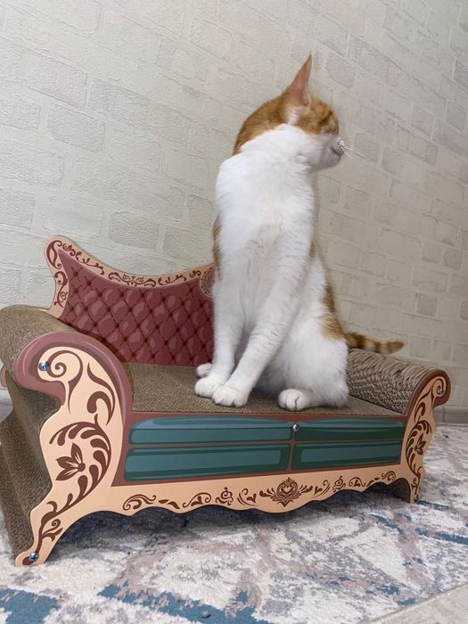 Срочно продам кота в хорошие руки