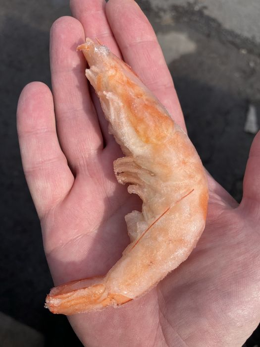 Креветки королевские.