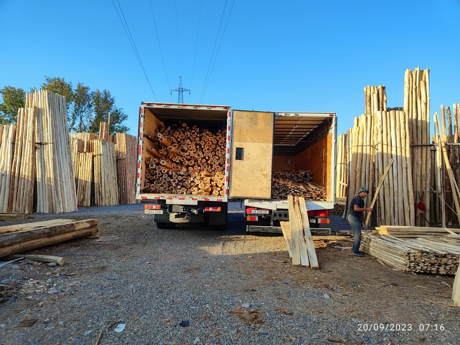 Terak mahsulotlari optim narhda