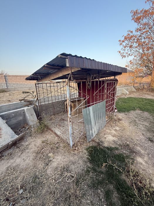 Ит ұясы сатылады 90,000