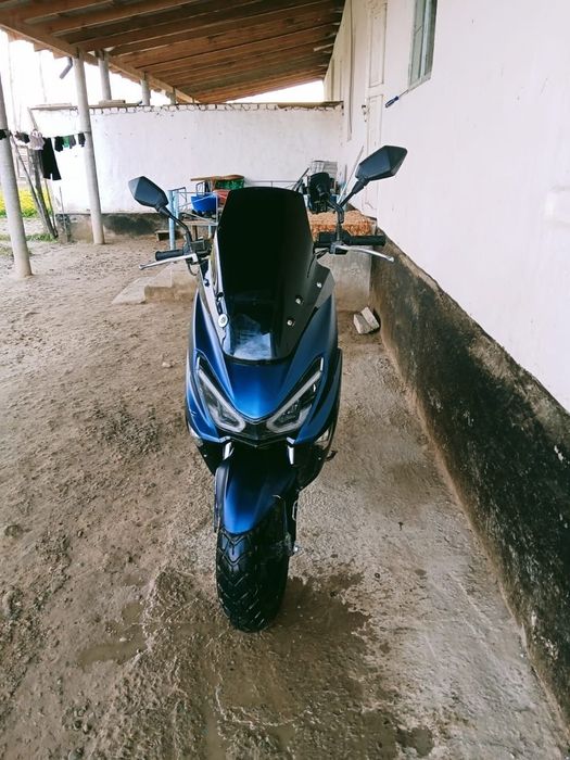 GST tiger skuter