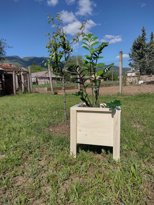 Кашпи, сандъчета, цветарници, къщи за птици