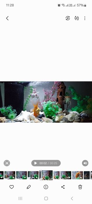 Аквариум с рыбками