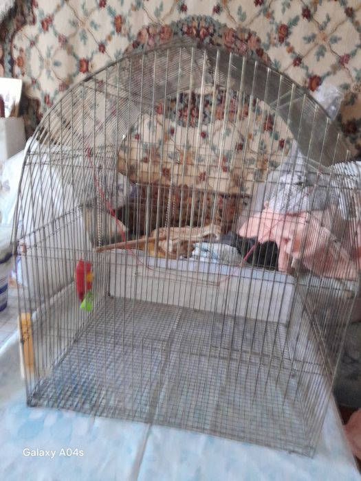 Клетка для птиц.