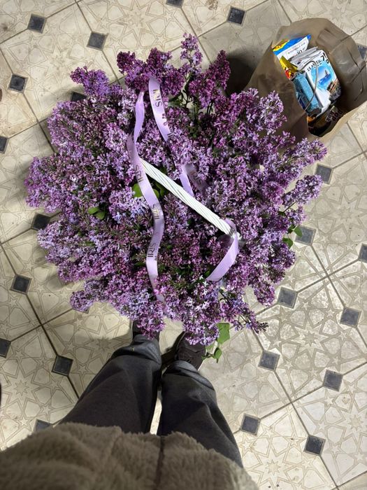 Апрельская сирень