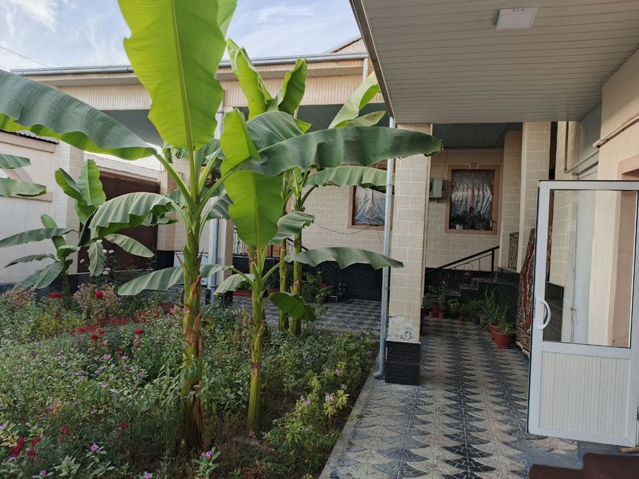 Продаётся участок Сергелинский р-н Ханабад 4.75с 6ком торцевая