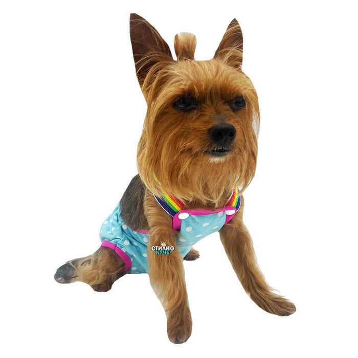 Хигиенни гащи за разгонени женски кучета Кучешки гащи Гащи за куче