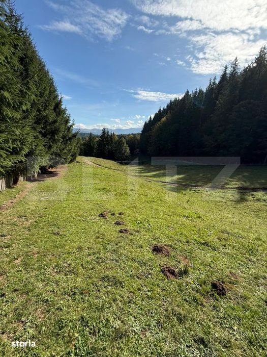Teren intravilan 28 Ari zona Colibita