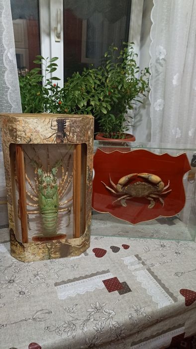 Морские сувениры