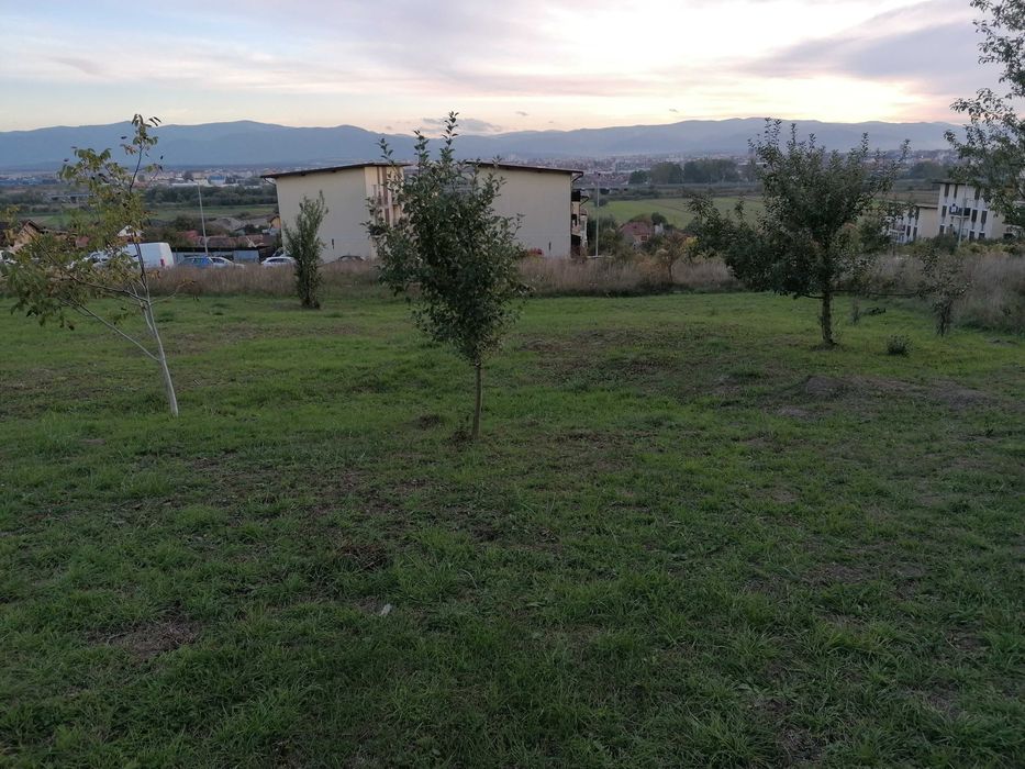 Teren construcţii strada Măceşului