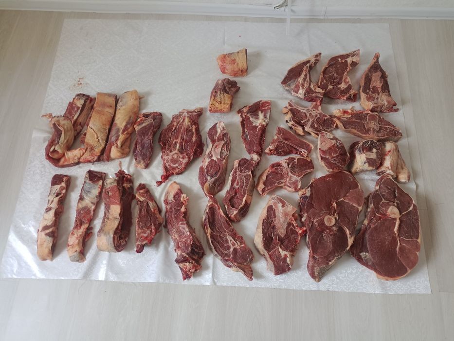 Жылқы  жылқы жылқы