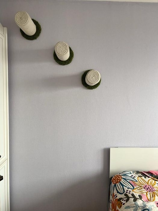 Когтеточки жердочки