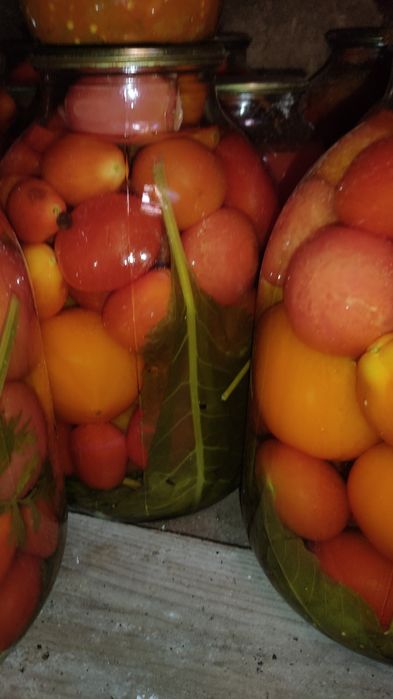 Продам огурцы, помидоры