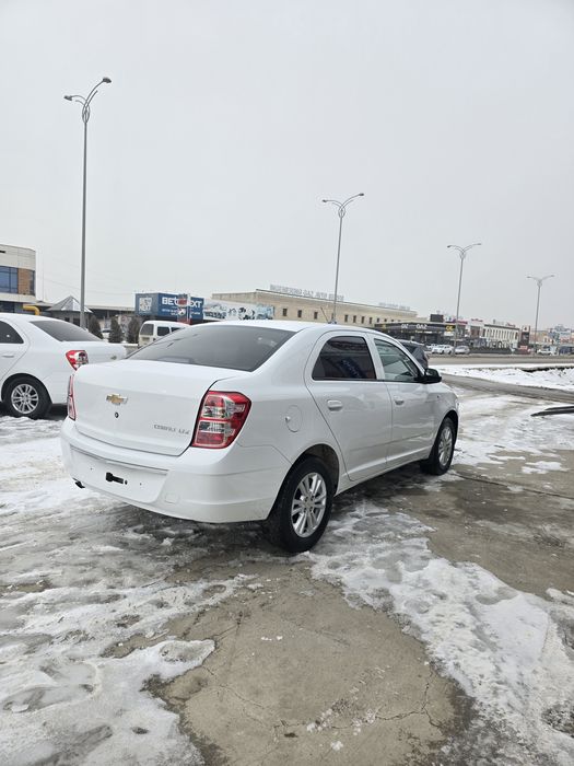 Кобальт ат сотилади 2021-22